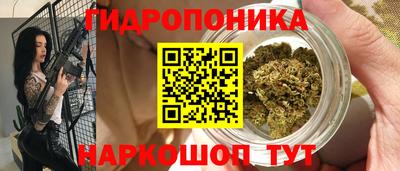 гашик Жуковский